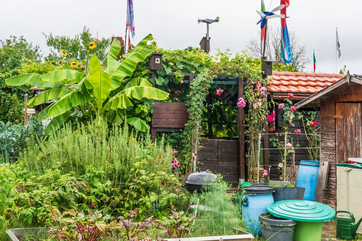Blick auf einen dicht bewachsenen Garten mit Gartenhäuschen. 